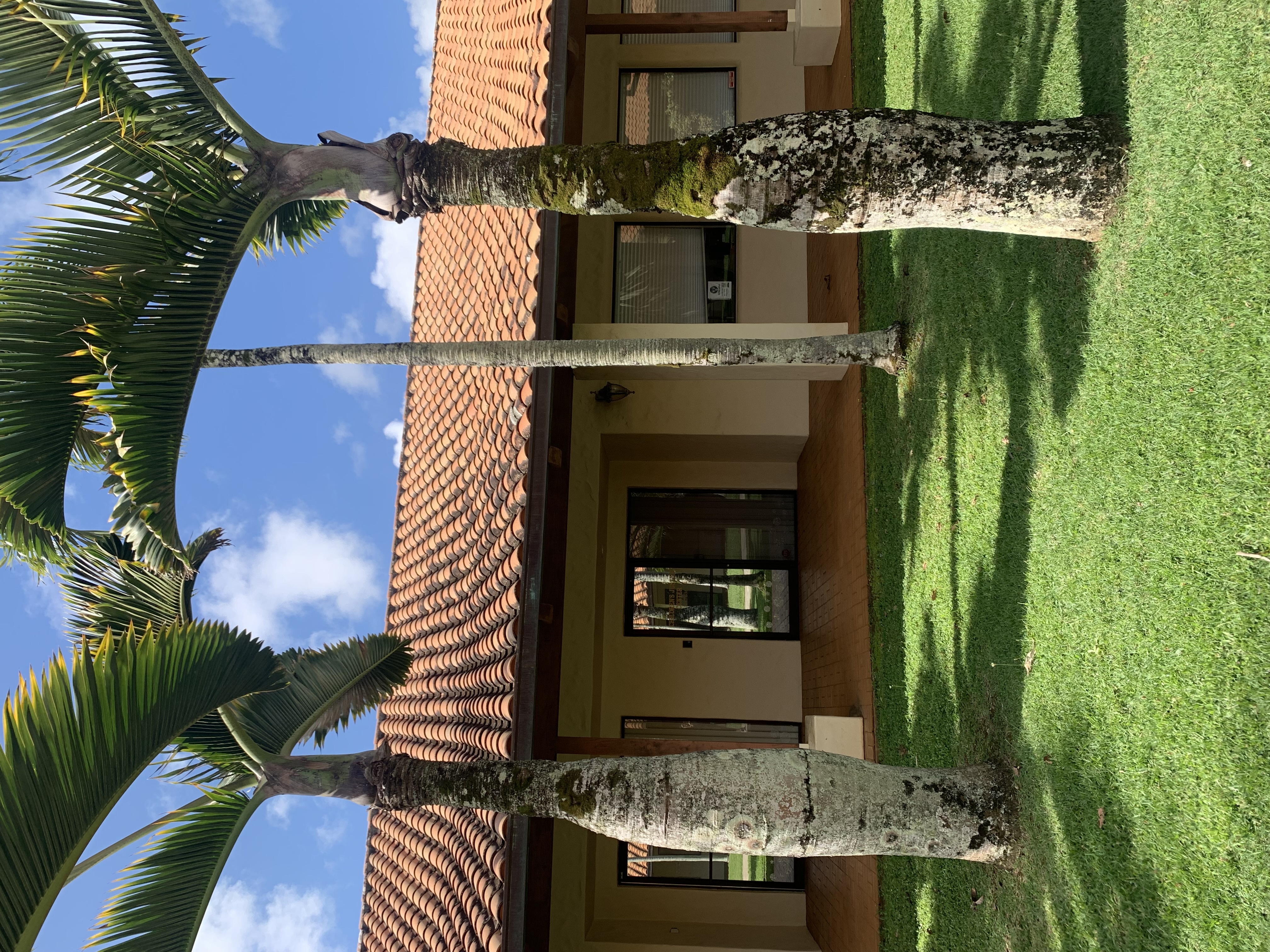 Kaua`i Children's Justice Center